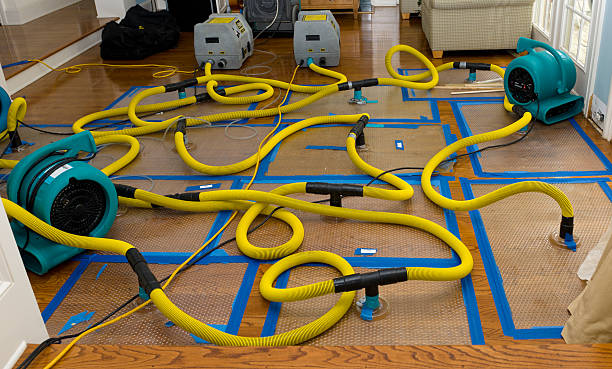 Professional Storm Water Damage Restoration technician working in Duquesne, PA